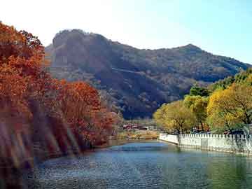 新澳天天开奖资料大全旅游团，地缚灵